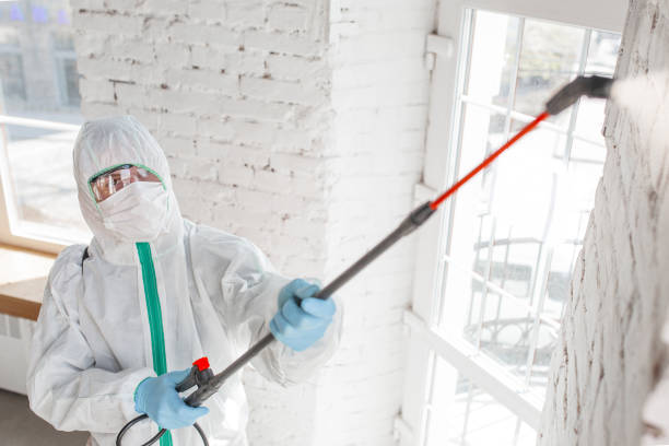 Forensic Mold Investigation in Yorba Linda, CA