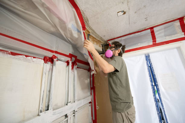 Best Post-Remediation Verification Testing  in Yorba Linda, CA