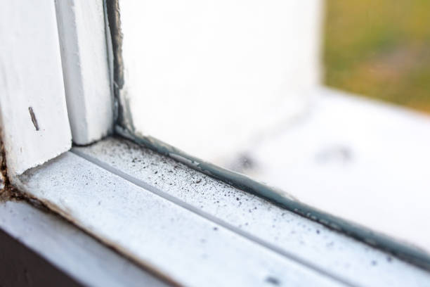 Mold Remediation for Rental Properties in Yorba Linda, CA